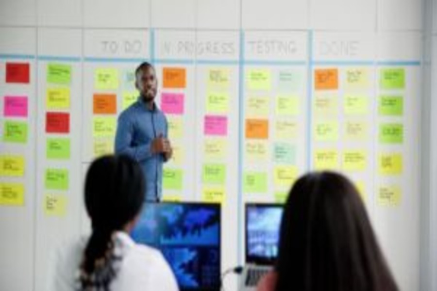Business Analysts, product owners, product managers, Project managers, Scrum Masters, UX UI Designers, and Product designers who recently transitioned and graduated seeking practical work experience.
